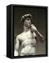 David, Detail-Michelangelo Buonarroti-Framed Stretched Canvas