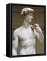 David, Detail-Michelangelo Buonarroti-Framed Stretched Canvas