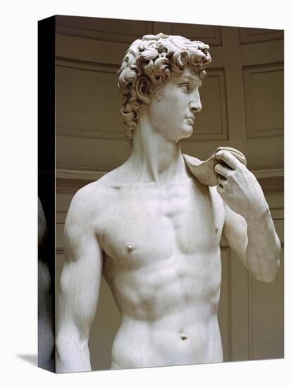 David, Detail-Michelangelo Buonarroti-Stretched Canvas