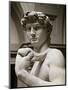 David, Detail-Michelangelo Buonarroti-Mounted Giclee Print