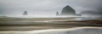 Beach Horses I-David Drost-Photographic Print