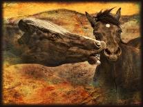 Kissing Horses I-David Drost-Photographic Print