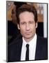 David Duchovny-null-Mounted Photo