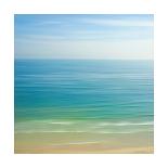 Seacoast 601-David E Rowell-Stretched Canvas