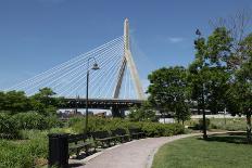 Boston Skyline and Park-David Eby-Photographic Print