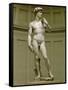 David: Frontal View-Michelangelo Buonarroti-Framed Stretched Canvas