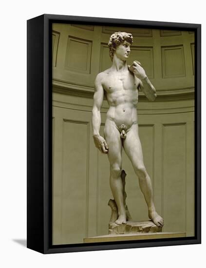 David: Frontal View-Michelangelo Buonarroti-Framed Stretched Canvas