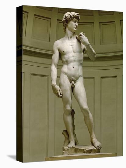 David: Frontal View-Michelangelo Buonarroti-Stretched Canvas
