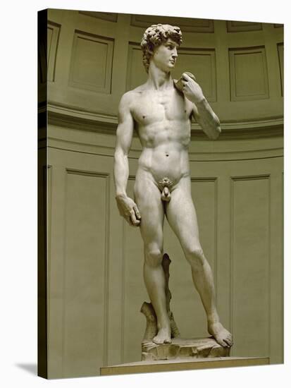 David: Frontal View-Michelangelo Buonarroti-Stretched Canvas