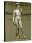 David: Frontal View-Michelangelo Buonarroti-Stretched Canvas