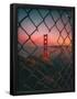 Essential Black