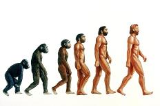 Stages In Human Evolution-David Gifford-Photographic Print