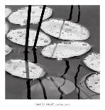 Lily Pads, Sunrise-David Gray-Art Print