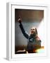 White Frame