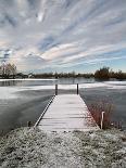 Winter Morning at Mallard Lake at the Lower Moor Farm Nature Reserve-David Hall-Photographic Print