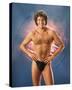 David Hasselhoff-null-Stretched Canvas