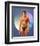 David Hasselhoff-null-Framed Photo