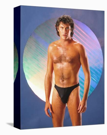 David Hasselhoff-null-Stretched Canvas