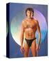 David Hasselhoff-null-Stretched Canvas