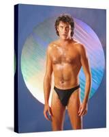 David Hasselhoff-null-Stretched Canvas