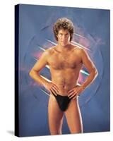 David Hasselhoff-null-Stretched Canvas