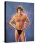 David Hasselhoff-null-Stretched Canvas