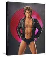 David Hasselhoff-null-Stretched Canvas