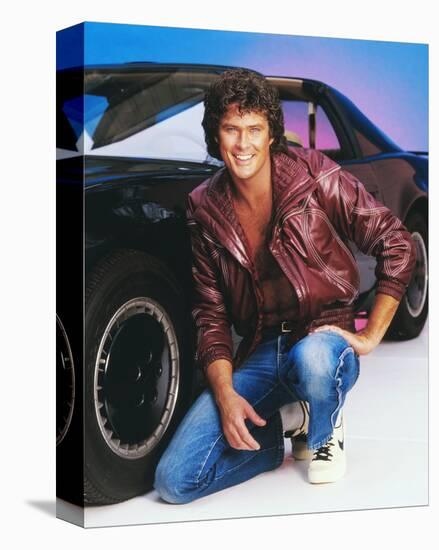 David Hasselhoff-null-Stretched Canvas