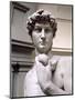 David, Head, 1501-4 (Detail)-Michelangelo Buonarroti-Mounted Premium Giclee Print