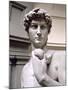 David, Head, 1501-4 (Detail)-Michelangelo Buonarroti-Mounted Giclee Print