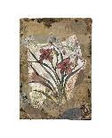 White Lily and Lace-David Hewitt-Giclee Print