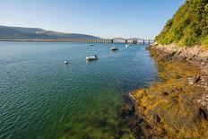 A View across the Estuary to Barmouth Viaduct Barmouth Gwynedd Wales UK-David Holbrook-Photographic Print