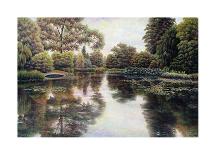 Nature's Tapestry-David Howells-Framed Giclee Print