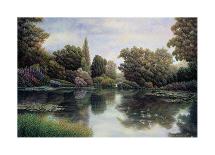 Nature's Tapestry-David Howells-Stretched Canvas