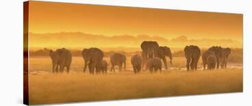 Golden Light-David Hua-Framed Giclee Print