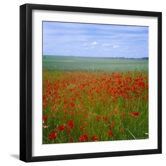 Premium Photographic Print, , large