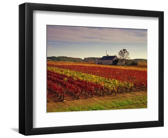 Premium Photographic Print, , large