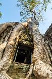Ancient Stone Door and Tree Roots, Ta Prohm Temple-David Ionut-Photographic Print