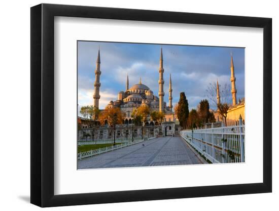 Premium Photographic Print, , large