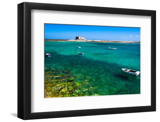 Premium Photographic Print, , large