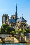 Notre Dame De Paris Cathedral-David Ionut-Photographic Print