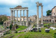Roman Forum, Rome, Italy-David Ionut-Photographic Print