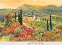 September in Tuscany II-David Jackson-Laminated Art Print