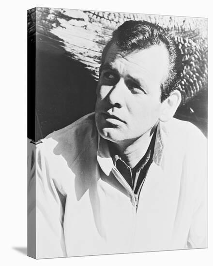 David Janssen - The Fugitive-null-Stretched Canvas