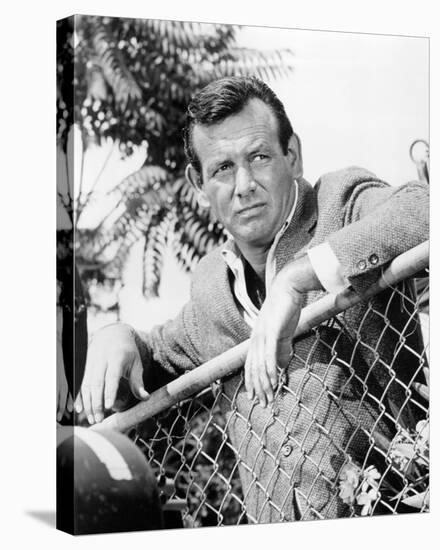 David Janssen - The Fugitive-null-Stretched Canvas