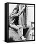 David Janssen - The Fugitive-null-Framed Stretched Canvas