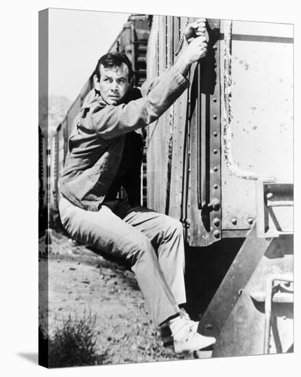 David Janssen - The Fugitive-null-Stretched Canvas