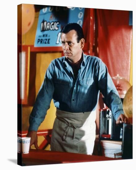 David Janssen - The Fugitive-null-Stretched Canvas