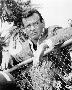 Laminate