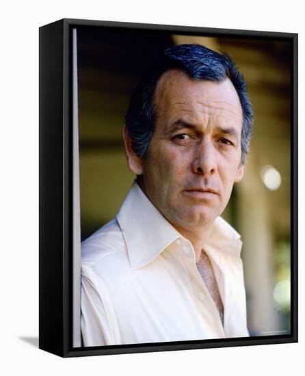 David Janssen-null-Framed Stretched Canvas